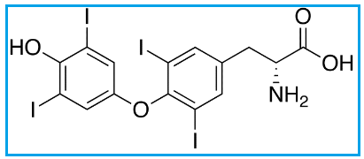LEVOTHYROXINE D-ISOMER
